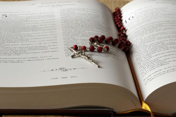 Curso Canon: La historia secreta de la Biblia
